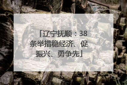 辽宁抚顺：38条举措稳经济、促振兴、勇争先