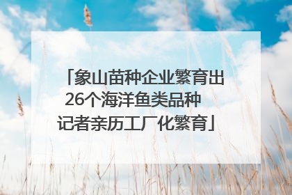 象山苗种企业繁育出26个海洋鱼类品种 记者亲历工厂化繁育