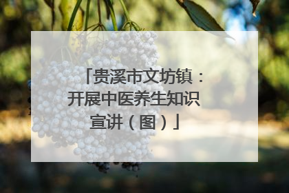 贵溪市文坊镇：开展中医养生知识宣讲（图）