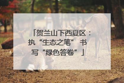 贺兰山下西夏区：执“生态之笔” 书写“绿色答卷”