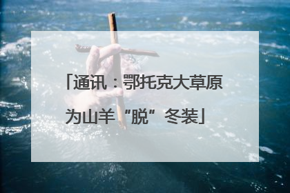 通讯：鄂托克大草原为山羊“脱”冬装