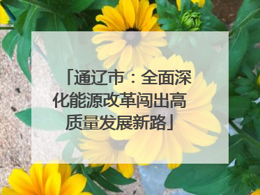 通辽市：全面深化能源改革闯出高质量发展新路