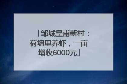 邹城皇甫新村：荷塘里养虾，一亩增收6000元