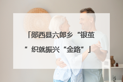 郧西县六郎乡“银茧”织就振兴“金路”