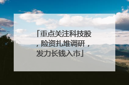 重点关注科技股，险资扎堆调研，发力长钱入市