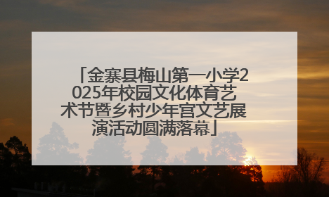 金寨县梅山第一小学2025年校园文化体育艺术节暨乡村少年宫文艺展演活动圆满落幕