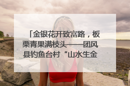 金银花开致富路，板栗青果满枝头——团风县钓鱼台村“山水生金”谱写共富新篇章