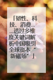 韧性、科技、消费……透过多维度关键词解析中国吸引全球资本“新磁场”