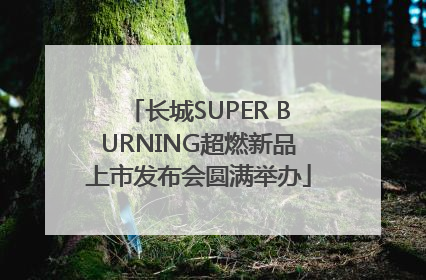 长城SUPER BURNING超燃新品上市发布会圆满举办