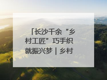 长沙千余“乡村工匠”巧手织就振兴梦｜乡村行·看振兴