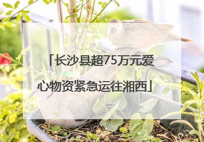 长沙县超75万元爱心物资紧急运往湘西
