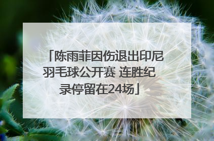 陈雨菲因伤退出印尼羽毛球公开赛 连胜纪录停留在24场