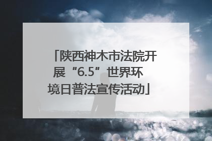 陕西神木市法院开展“6.5”世界环境日普法宣传活动