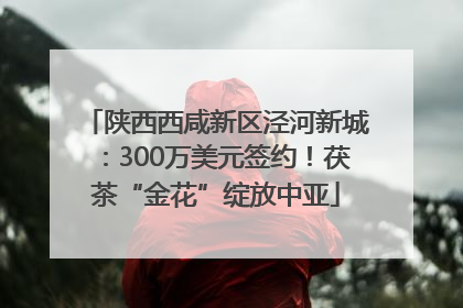陕西西咸新区泾河新城：300万美元签约！茯茶“金花”绽放中亚
