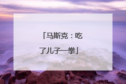 马斯克：吃了儿子一拳
