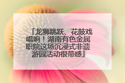 龙狮跳跃、花鼓戏唱响！湖南有色金属职院这场沉浸式非遗游园活动很带感