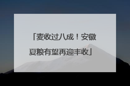 麦收过八成！安徽夏粮有望再迎丰收