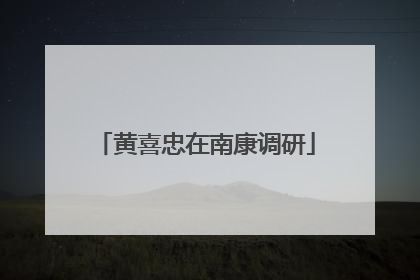 黄喜忠在南康调研