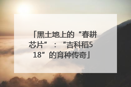 黑土地上的“春耕芯片”：“吉科稻518”的育种传奇