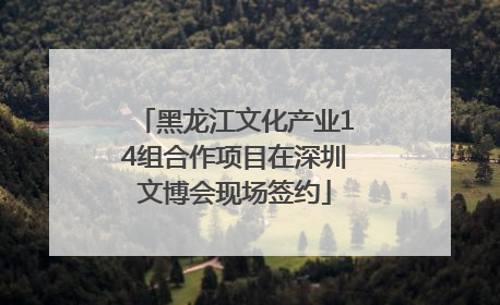黑龙江文化产业14组合作项目在深圳文博会现场签约