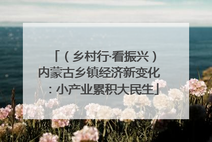 （乡村行·看振兴）内蒙古乡镇经济新变化：小产业累积大民生
