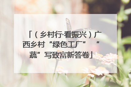 （乡村行·看振兴）广西乡村“绿色工厂” “蔬”写致富新答卷