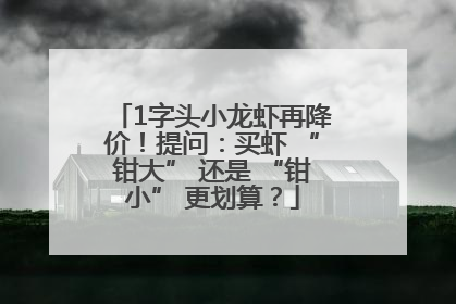 1字头小龙虾再降价！提问：买虾 “钳大” 还是 “钳小” 更划算？