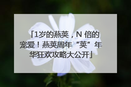 1岁的燕荚，N 倍的宠爱！燕荚周年“荚”年华狂欢攻略大公开