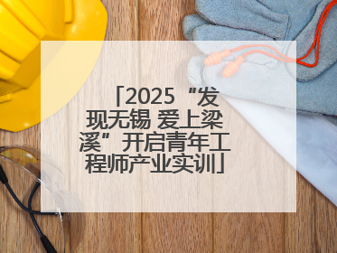 2025“发现无锡 爱上梁溪”开启青年工程师产业实训