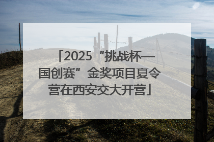 2025“挑战杯—国创赛”金奖项目夏令营在西安交大开营