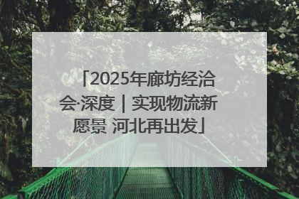 2025年廊坊经洽会·深度｜实现物流新愿景 河北再出发