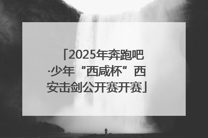 2025年奔跑吧·少年“西咸杯”西安击剑公开赛开赛