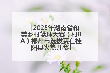 2025年湖南省和美乡村篮球大赛（村BA）郴州市选拔赛在桂阳县火热开赛