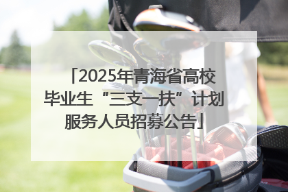 2025年青海省高校毕业生“三支一扶”计划服务人员招募公告