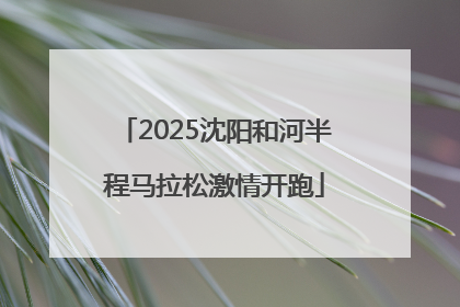 2025沈阳和河半程马拉松激情开跑