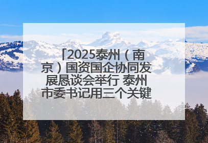 2025泰州（南京）国资国企协同发展恳谈会举行 泰州市委书记用三个关键词推介泰州