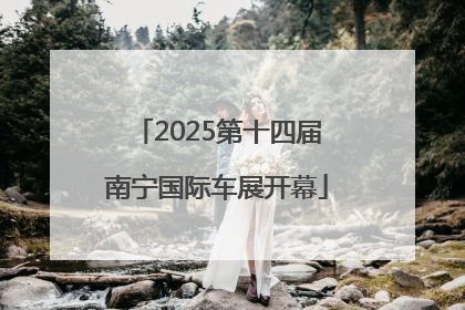 2025第十四届南宁国际车展开幕