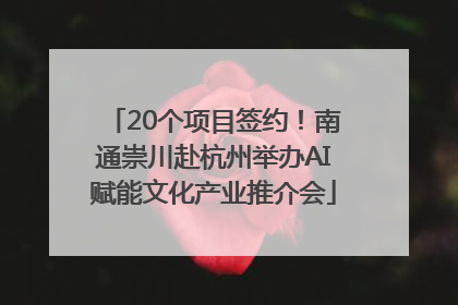20个项目签约！南通崇川赴杭州举办AI赋能文化产业推介会