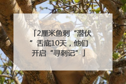 2厘米鱼刺“潜伏”舌底10天，他们开启“寻刺记”