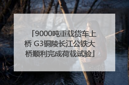 9000吨重载货车上桥 G3铜陵长江公铁大桥顺利完成荷载试验